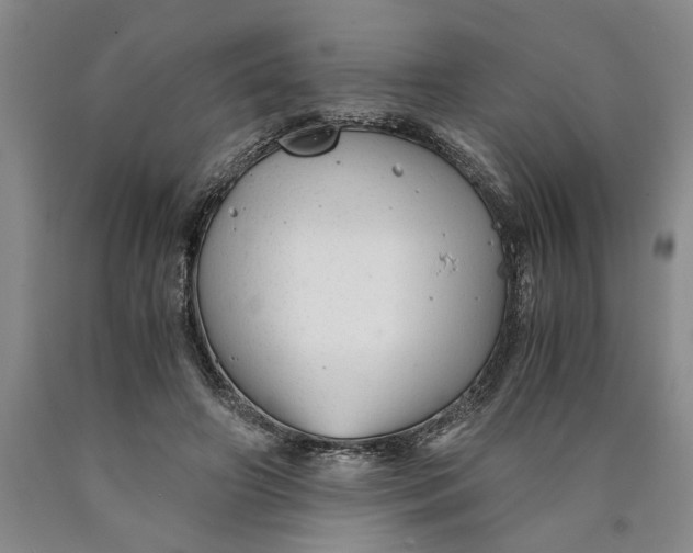 X0000089920498200707271739