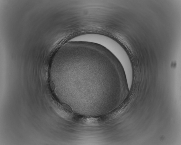 X0000089920501200707271739