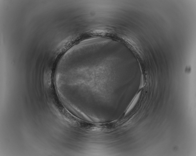 X0000089920504200707271739