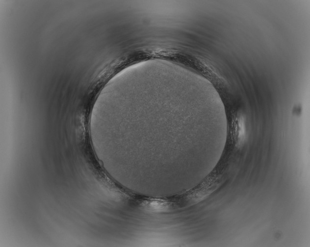 X0000089920506200707271739