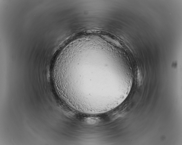 X0000089920508200707271739