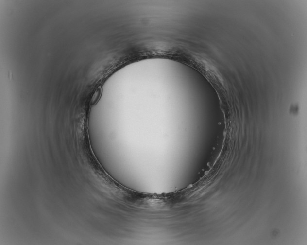 X0000089920509200707271739