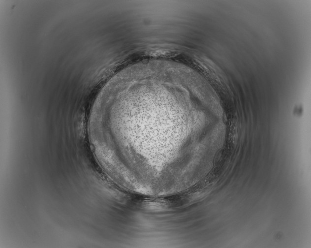 X0000089920510200707271739