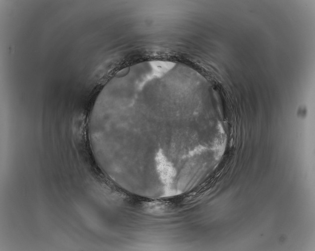 X0000089920511200707271739