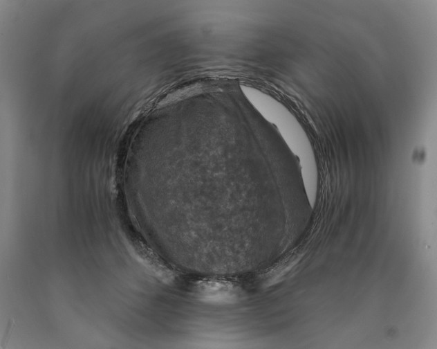 X0000089920512200707271739