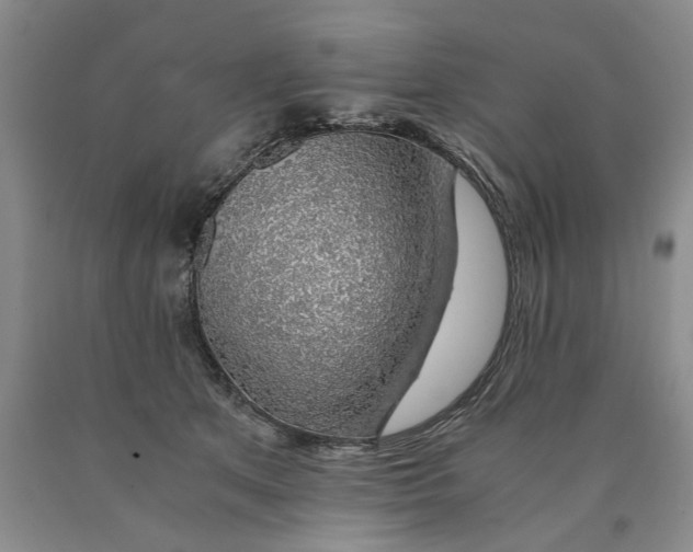 X0000089920513200707271739