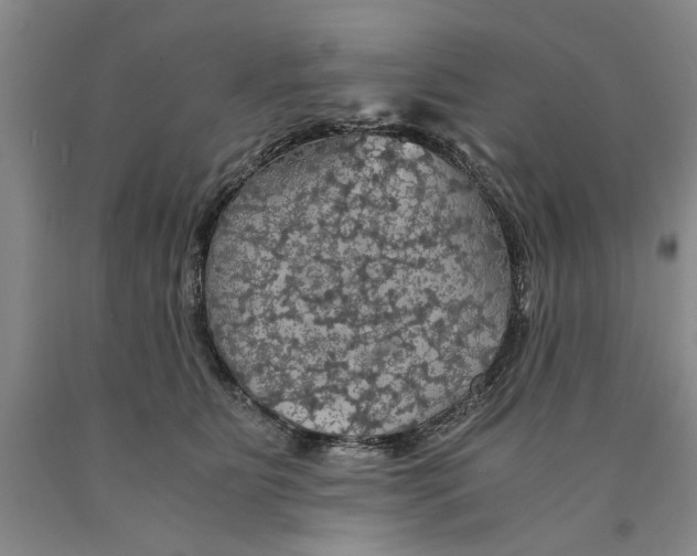 X0000089920515200707271739