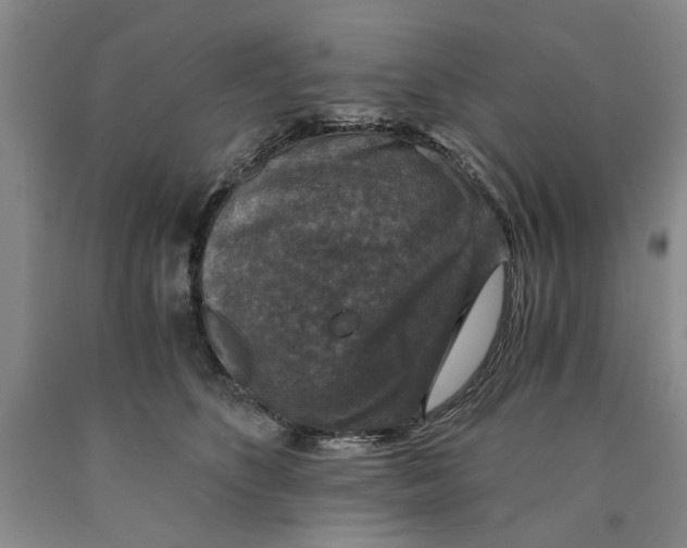 X0000089920516200707271739