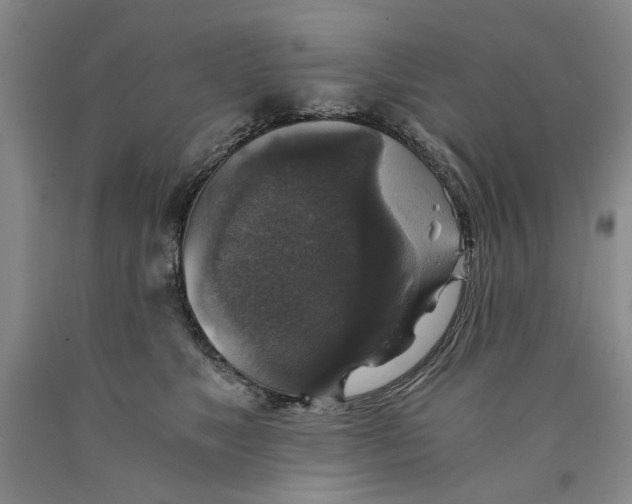 X0000089920517200707271739