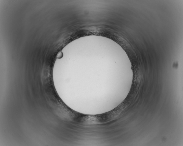 X0000089920518200707271739