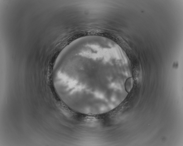 X0000089920519200707271739