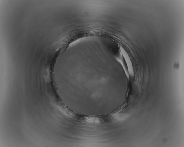 X0000089920520200707271739