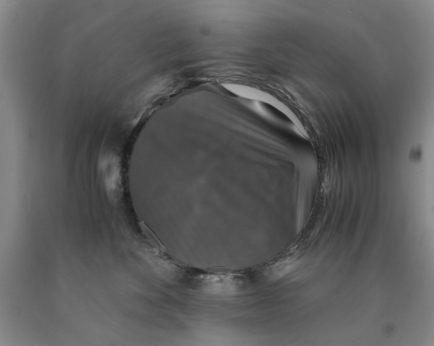 X0000089920524200707271739