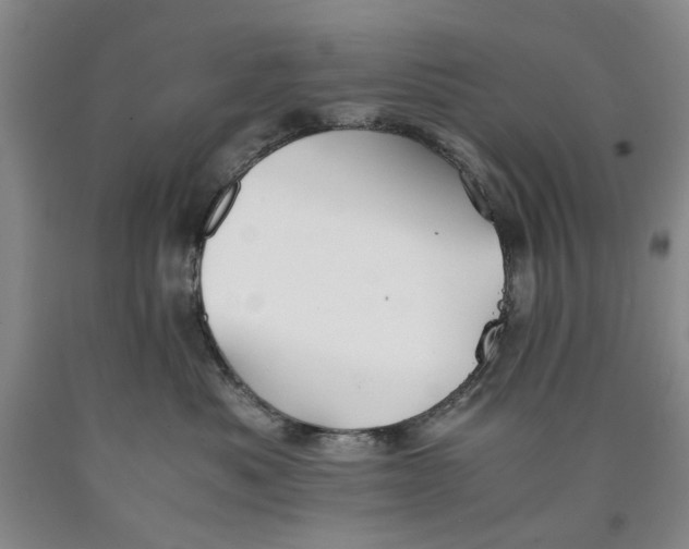 X0000089920525200707271739