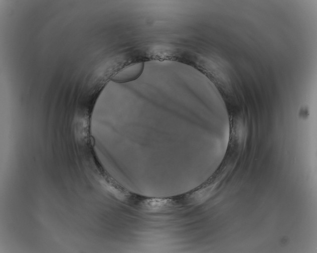 X0000089920526200707271738