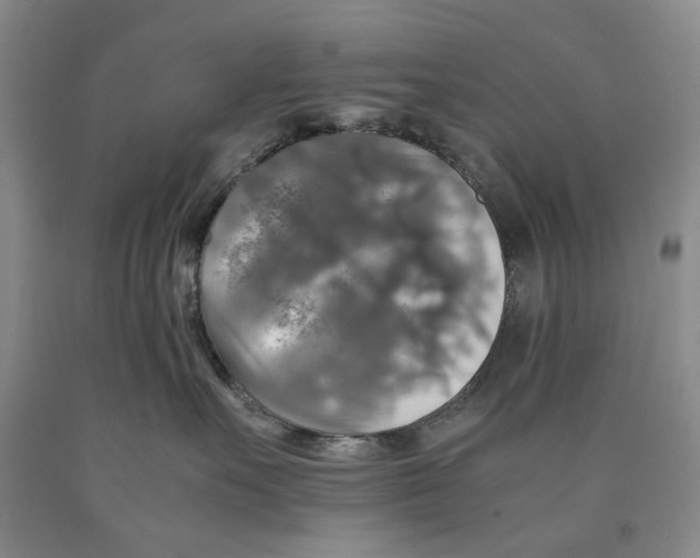 X0000089920527200707271738