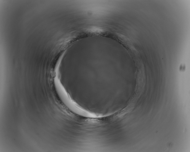 X0000089920528200707271738