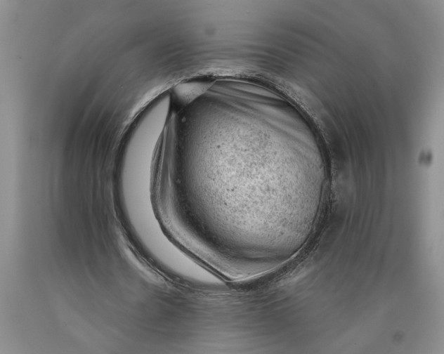 X0000089920530200707271738