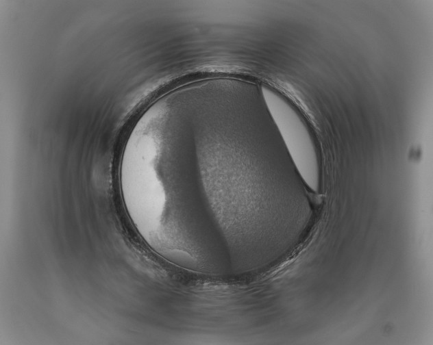 X0000089920531200707271738