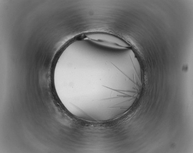 X0000089920532200707271738