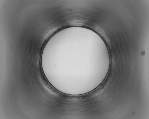 X0000089920533200707271738