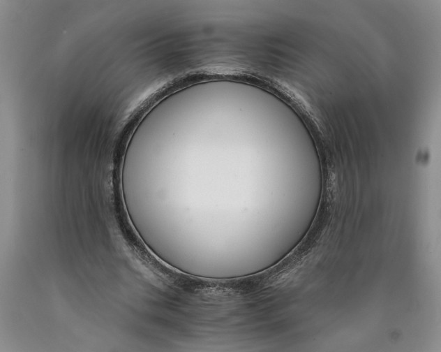 X0000089920535200707271738