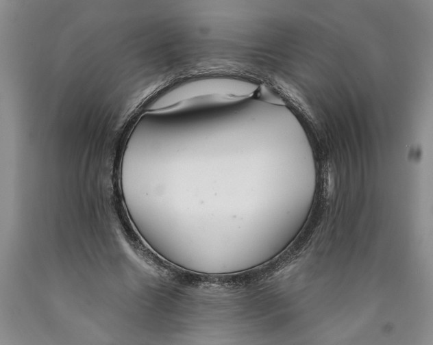 X0000089920538200707271738