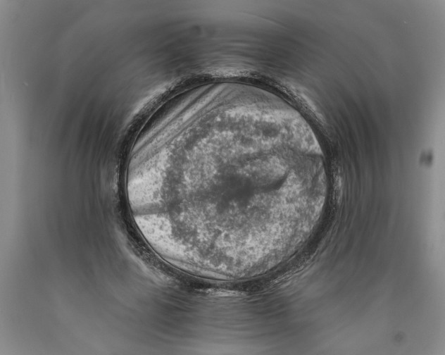 X0000089920539200707271738