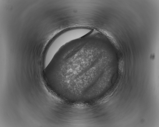 X0000089920540200707271738