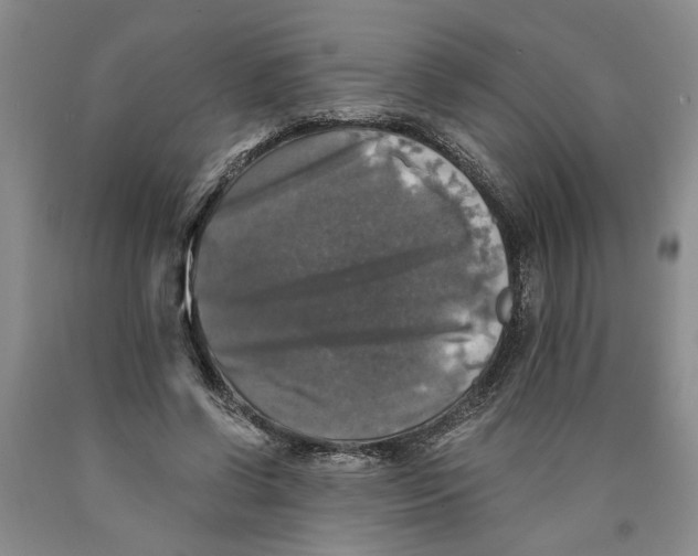 X0000089920542200707271738