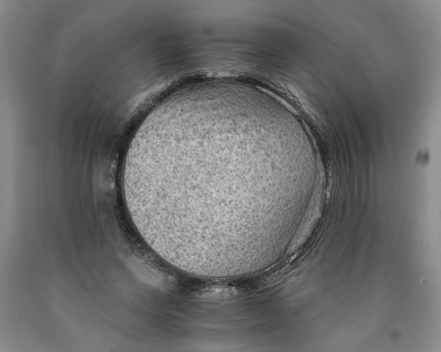 X0000089920543200707271738