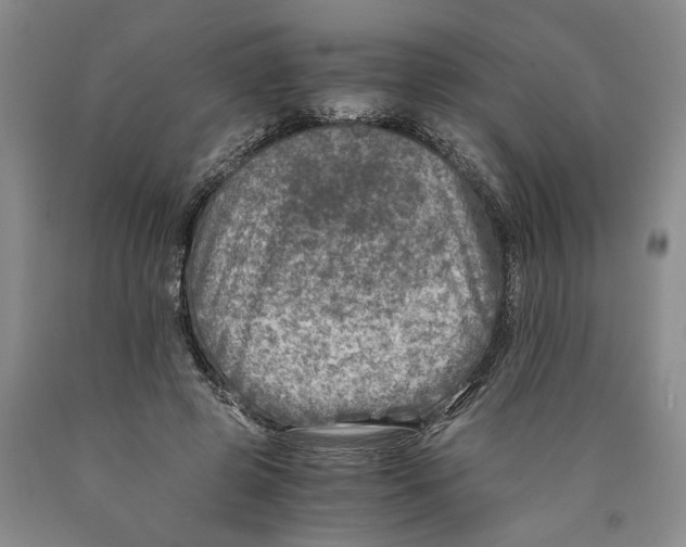 X0000089920545200707271738