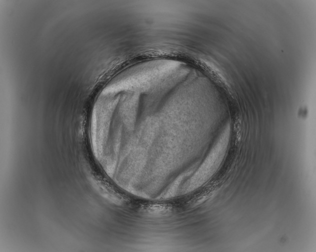 X0000089920546200707271738