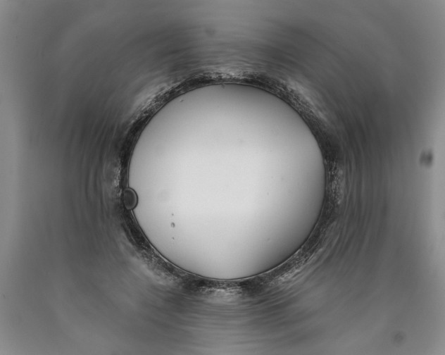 X0000089920548200707271738