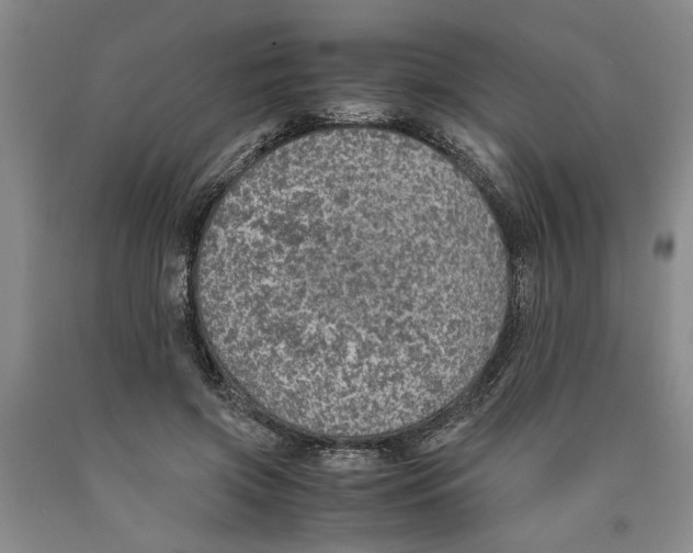 X0000089920549200707271738