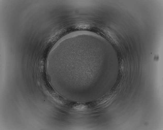 X0000089920551200707271738