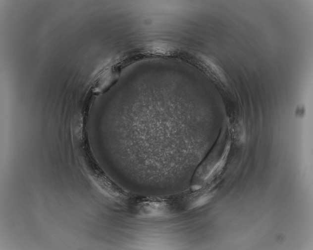 X0000089920552200707271738