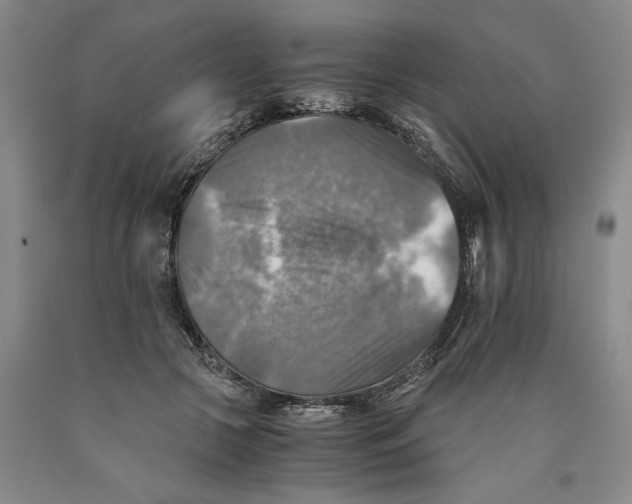 X0000089920553200707271738