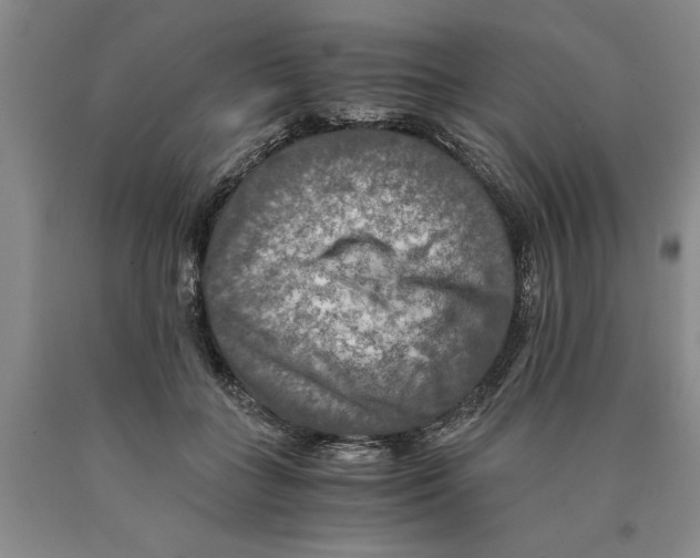 X0000089920555200707271738