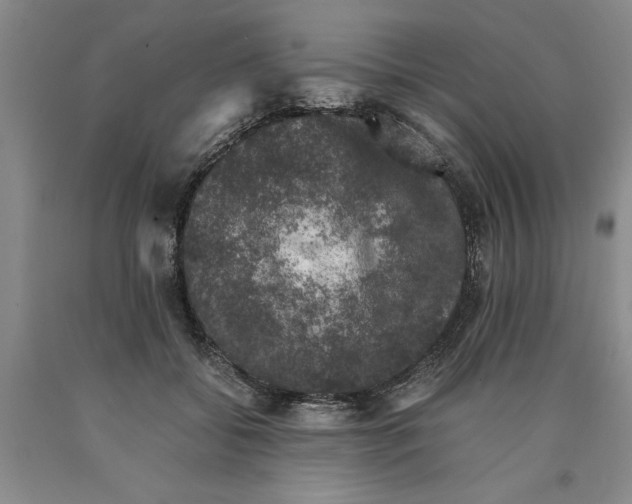 X0000089920556200707271738