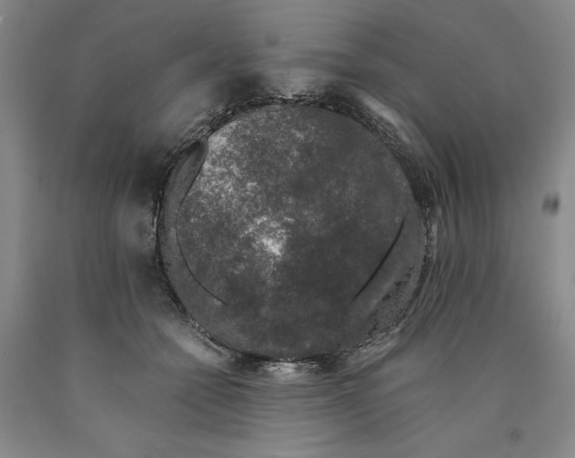 X0000089920558200707271738