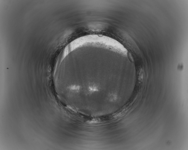 X0000089920559200707271738