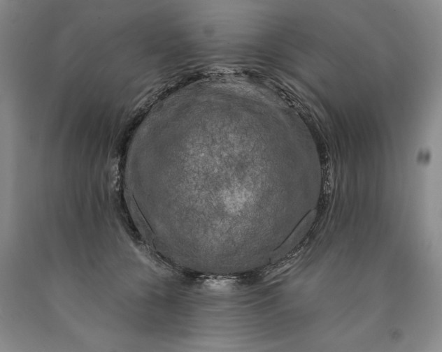 X0000089920560200707271738