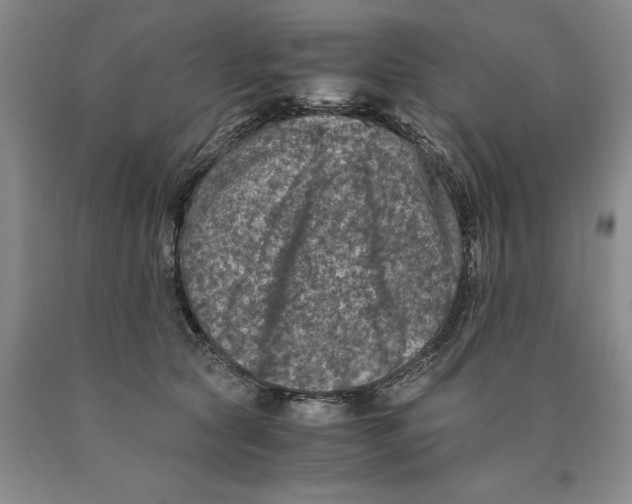 X0000089920561200707271738