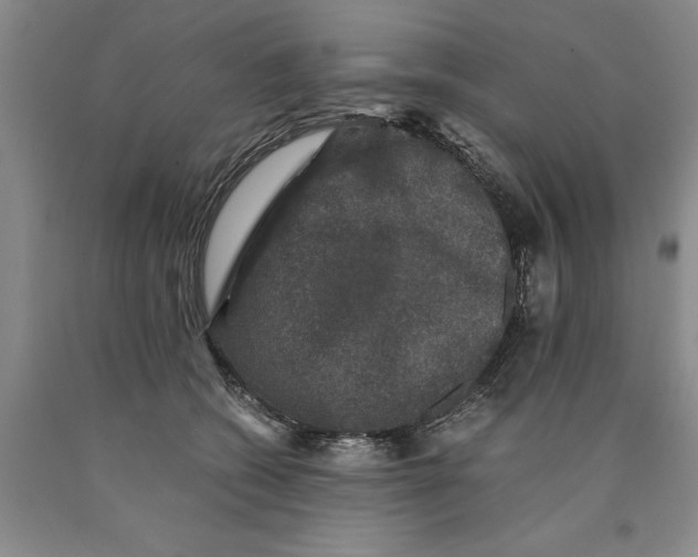 X0000089920562200707271738