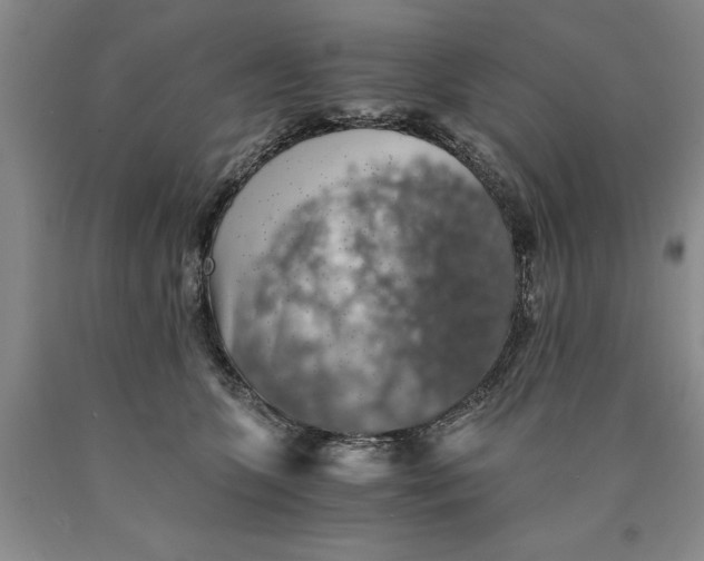 X0000089920563200707271738