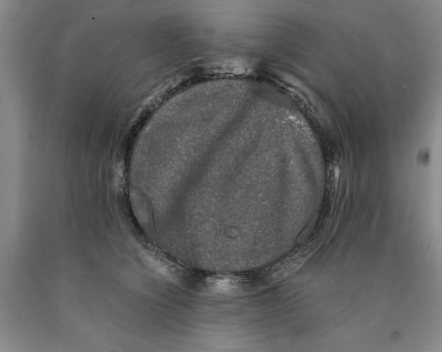 X0000089920564200707271738