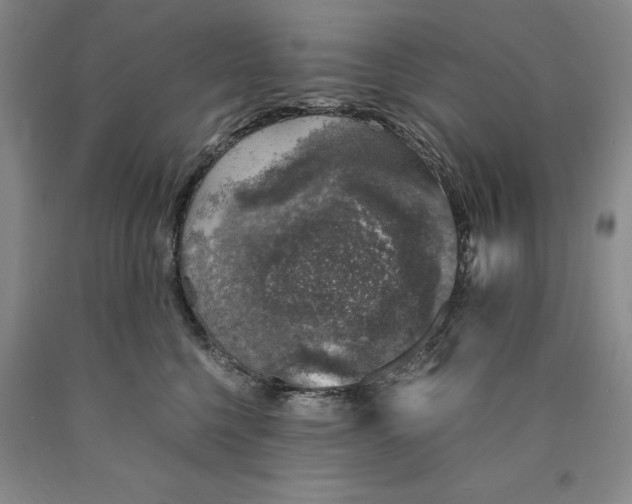 X0000089920568200707271738