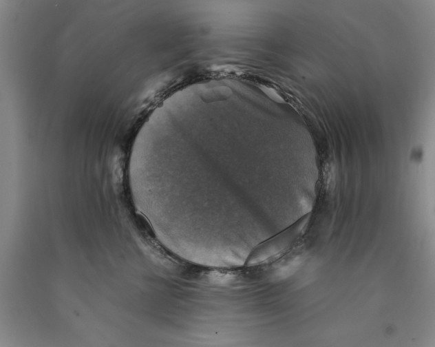 X0000089920570200707271738