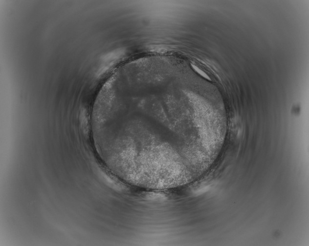 X0000089920572200707271738